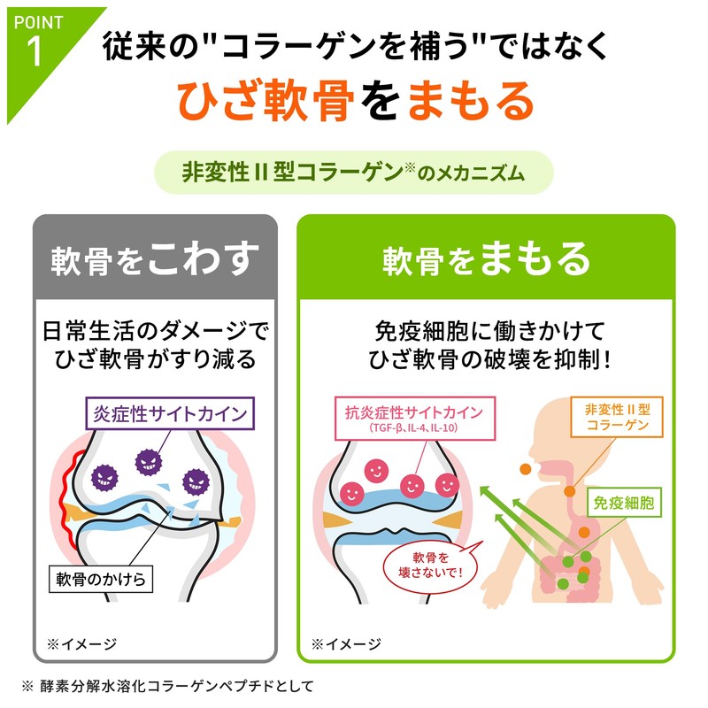 【ひざの違和感を軽減】リゲインひざサポ 30粒×2袋（60日分）ひざサプリ ひざ関節 膝［第一三共ヘルスケア開発］