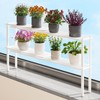 WOCHUANGSI Expandable Window Shelf for Plants Kitchen Sink Organizer Stackable