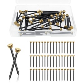 Qancekoo 50 PCS Black Picture Hanging Nails, Brass Head Hanging Pins with Plastic Storage Box, Picture Nails for Wall Hanging Pictures Photo Frames