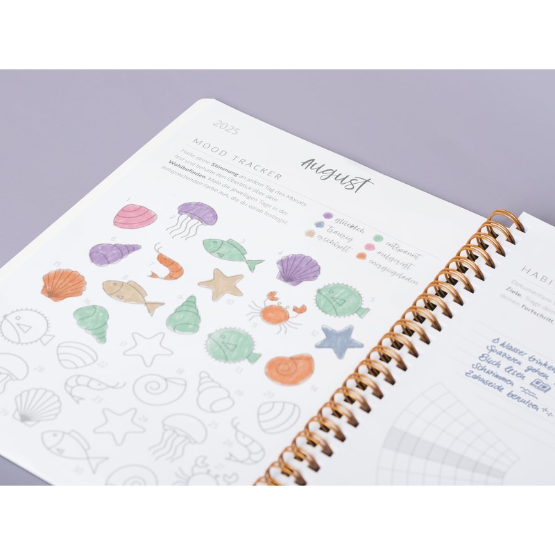 BRUNNEN School Calendar Style 2025/2026 "Clouds" | A5, Plastic