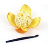 Tupperware Citrus Orange Peeler RED