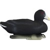 Higdon Outdoors Standard Coot Duck Decoys | Lightweight & Realistic