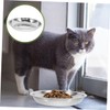 VILLFUL Stainless Steel Cat Dog Bowls Flat Cat Plates Shallow