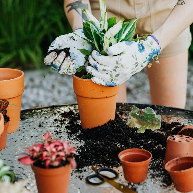 Gatuida 2 Pieces Swimming Frog for Mini Pond, Frog Decoration