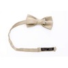 Spring Notion Men's Linen Blend Bow Tie Tan