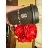 Ritz Carlton 6 Ritz Carlton Coffee Cups PAPER RITZ cup