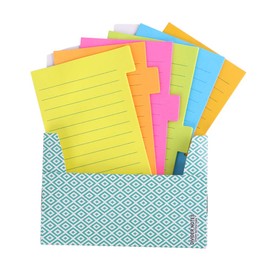 Eagle Divider Sticky Notes, Self-Stick Lined Note Tabs, Bookmark Index, 10.16X15.24CM, 60 Ruled Notes per Pack, Assorted 6 Neon Colors, 10 Sheets per Pad, Ideal School and Office Supplies, Pack of 1