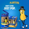 PLANTERS Pop & Pour Dry Roasted Sunflower Seeds to Eat,