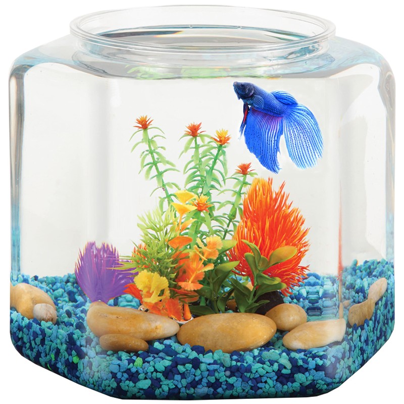 Koller Products Cuenco Hexagonal de 2 galones, plástico Resistente a