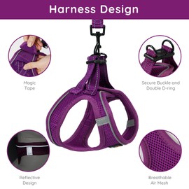 BELLA & PAL Dog Harness and Leash Set, Step-in Small Dog Harness for Extra Small Dogs, Soft Mesh Breathable Harness with Reflective Strip, Puppy Harness No Pull Harness for Small Dogs, Purple, XS