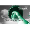 Prospect Tea Green Power Caffeinated Tea Pods for Keurig K-Cup