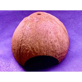 AquaEmporium Coconut shell aquarium For Cichlid Fish Hide Cave Aquarium Decoration Pleco Crab