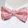 DiBanGu Mens Pre Tied Bow Tie Silk Adjustable Bow Tie