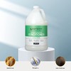 Ginger Lily Farms Aloe Vera Conditioner