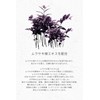 Areti W1906 Murasaki Face Foam, Made in Japan, Resilient Foam,