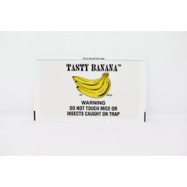 Catchmaster Tasty Banana Mouse Glue Board 72TB 36 Pack