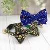 Ultra Joys Cat Collar with Bells - Breakaway for Kittens