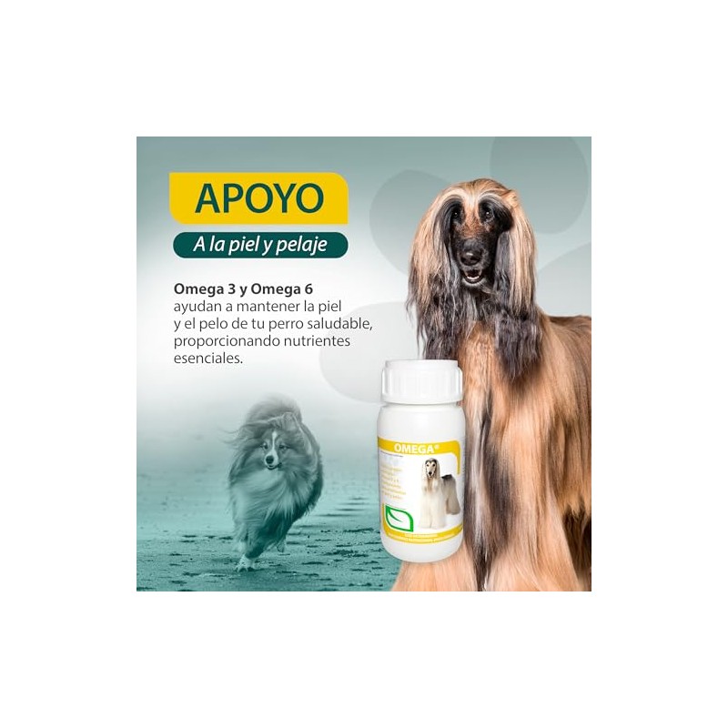 RUILAND Suplemento Omega 3 y Omega 6 para Perros