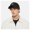 Dickies Hanston Trucker Cap, black