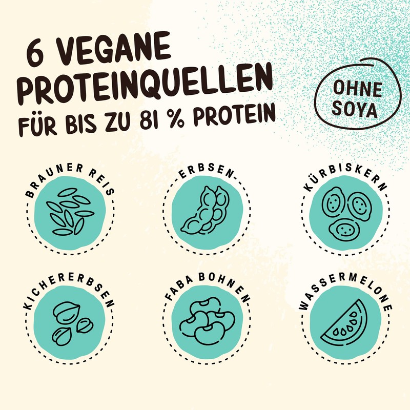 Powerstar Vegan Protein 500 g, Vegan Protein Powder without Soy,