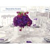 Royal Imports Flower Acrylic Vases Cubes - Decorative Centerpiece for