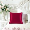 PiccoCasa Silk Pillowcase 19 Momme Silk Pillowcase with Zip Cushion