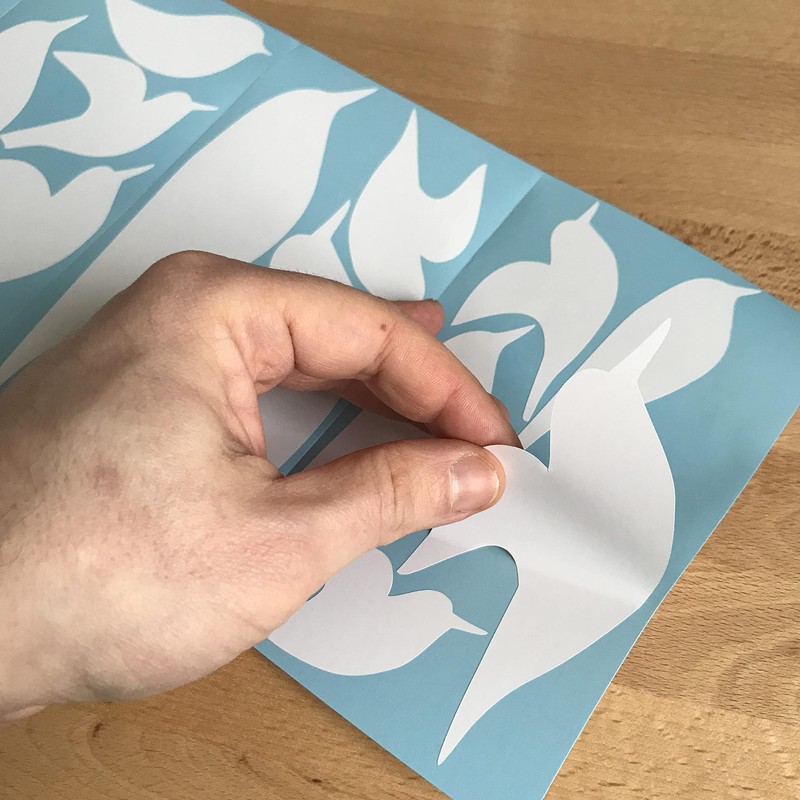 Window Stickers to Prevent Bird Collisions Bird Silhouettes Glass Door