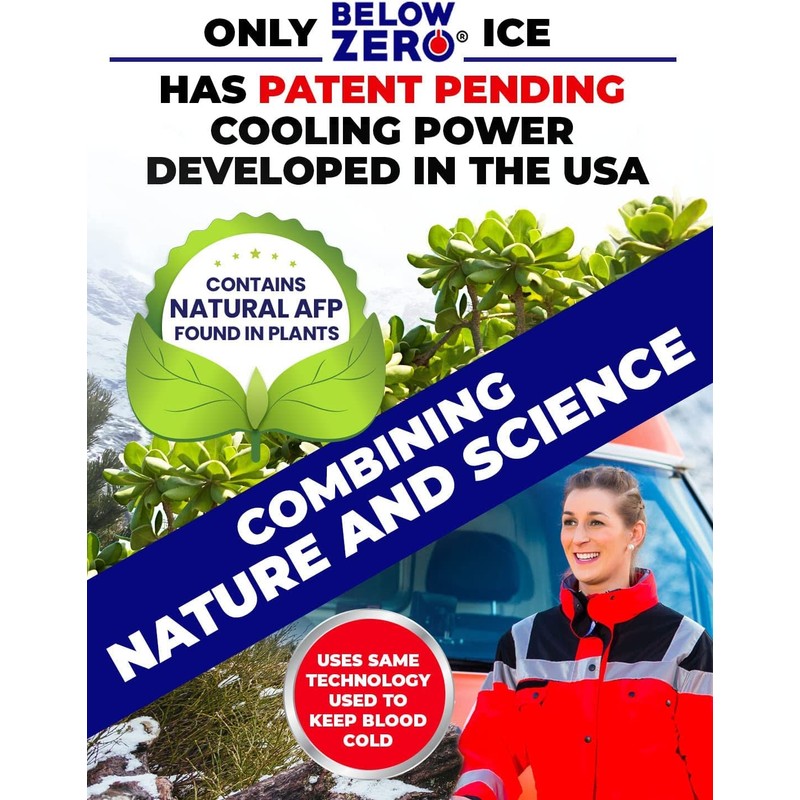 Below Zero Large Reusable Ice Packs for Coolers – Long