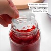 ViscoDisc Home Bottling - Regular Mouth Mason Jar Inserts