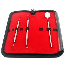 Dental Hygiene Tool KIT - Includes Stainless Steel TARTER Scraper/Scaling Remover, Dental Toothpick, Mouth Mirror - by AA PRO- Dentists Tools Set is Ideal for Personal USE & PET Friendly A+ Quality