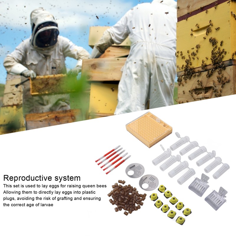 Plastic Queen Rearing System Beekeeping Queen Bee Rearing Grafting Kit