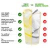 TRUE LEMON Original Lemonade Drink Mix | No Artificial Sweeteners,