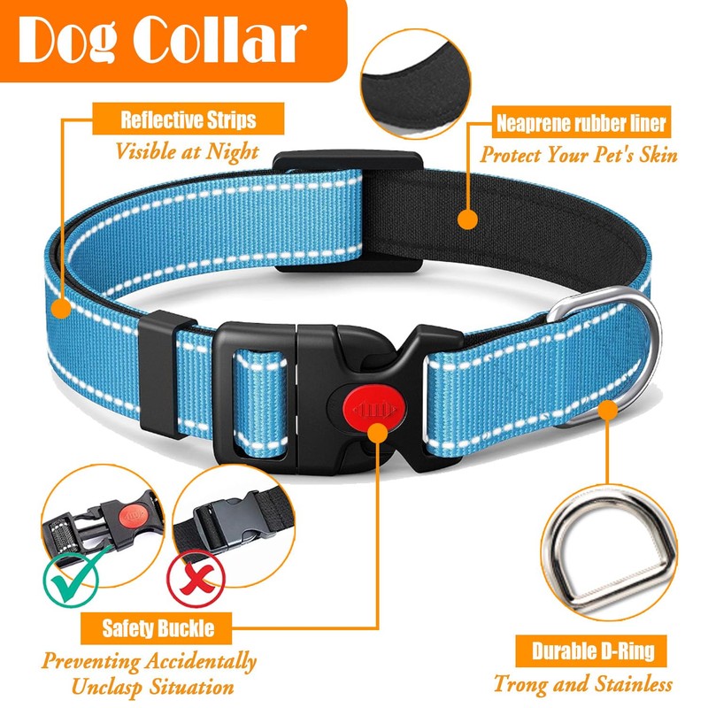 LOBEVE No Pull Dog Harness, Collar & Leash Set |