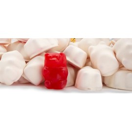 Smarty Stop Gummy Bear (White Chocolate Covered, 2 Pound (Pack Of 1))