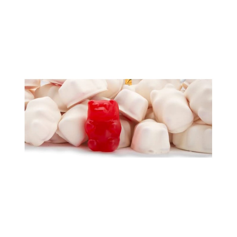 Smarty Stop Gummy Bear (White Chocolate Covered, 2 Pound (Pack