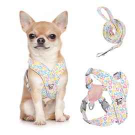 Pawaboo Small Dog Harness and Leash Set, Puppy Harness X-Frame No Pull No Choke, Dog Vest Harnesses Adjustable for Small Medium Sized Dogs,Soft Breathable Pet Harnesses, S, Colorful Leopard