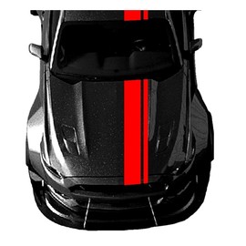 Double 2 and 8 Inch Offset Vinyl Racing Stripes Fits Ford Mustang, Purple