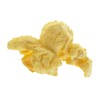 Kernel Season's Popcorn Seasoning, Nacho Cheddar, 2.85 Ounce (Pack of