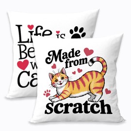 SDFBFVSA 2 Pcs Abstract Cats Throw Pillow Cover, Crazy Cat Lady Gifts for Women Cat Decor, Square Decorative Throw Pillow Case for Couch Sofa Bed Bedroom Apartment Dorm Living Room Office Home Decor