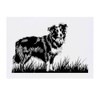 'Border Collie Dog on Grass' Temporary Tattoo - Water Resistant,