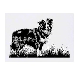 'Border Collie Dog on Grass' Temporary Tattoo - Water Resistant, Skin-Safe, Non-Toxic Transfer (TO00084629)