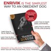 Extra Small Size Dog Shock Collar for Training Small Dogs