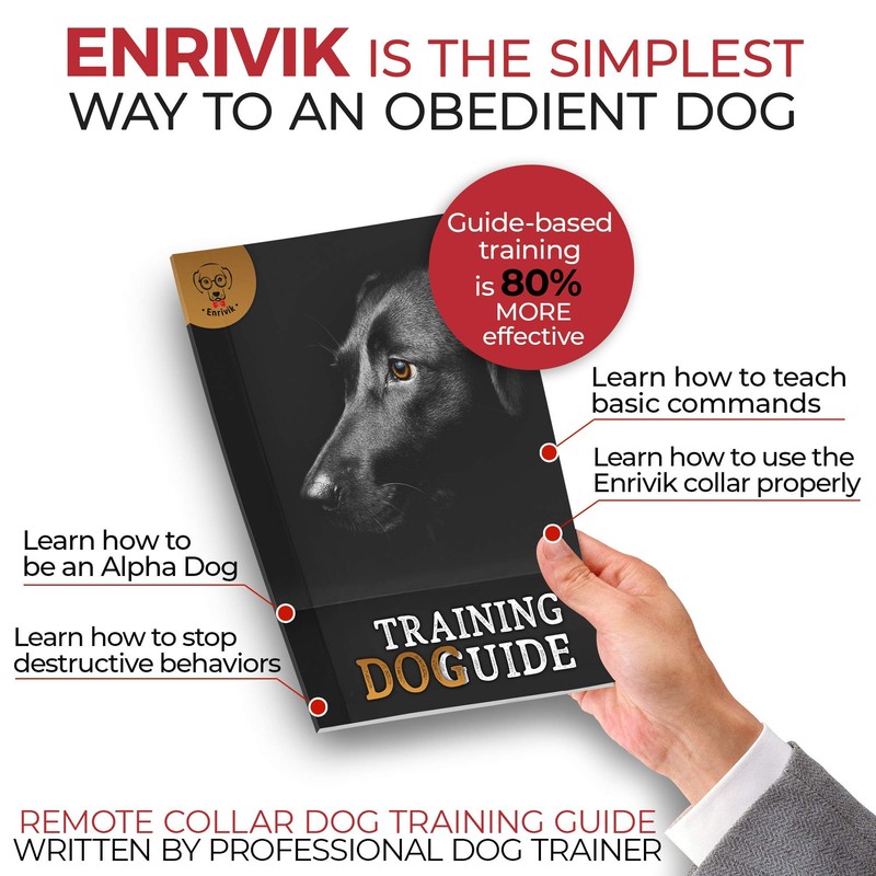 Extra Small Size Dog Shock Collar for Training Small Dogs