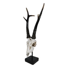 Ebros Rustic African Gazelle Antelope Bust Head Sculpture with Trophy Base 19" Tall Wildlife Safari Wild Antelopes Antlers Stags Animal Taxidermy Figurine Decor