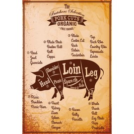 mrdeco Metal Sign 20 x 30 cm Domed Pig Pork Cuts Organic Butcher Shop Decorative Tin Sign Tin Sign