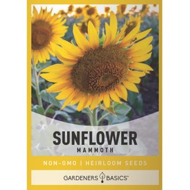 Gardeners Basics Mammoth Sunflower Seeds for Planting Flowers - an Open-Pollinated, Non-GMO Sun Flower Variety, Giant, Tall Yellow Sunflower Seeds Great for Outdoor Large Flower Gardening