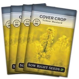 Sow Right Seeds - Yellow Mustard Seed for Planting - Cover Crops to Plant in Your Home Garden - Enriches Soil - Suppresses Weeds - Cold Hardy - Non-GMO Heirloom Seeds - Great Gardening Gift (4)