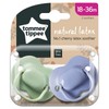 Tommee Tippee Cherry Latex Soother 18 to 36 Months X 2 (Assorted Designs/Colours)