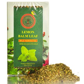 Lemon Balm Leaf, Wild Harvested, Premium Quality, 3.53 OZ (100 Grams) – Herbal Tea