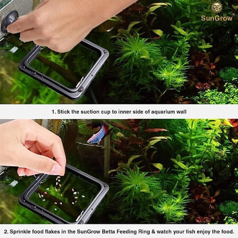 SunGrow 2 Betta Feeding Ring, Prevent Water Turbulence from Washing
